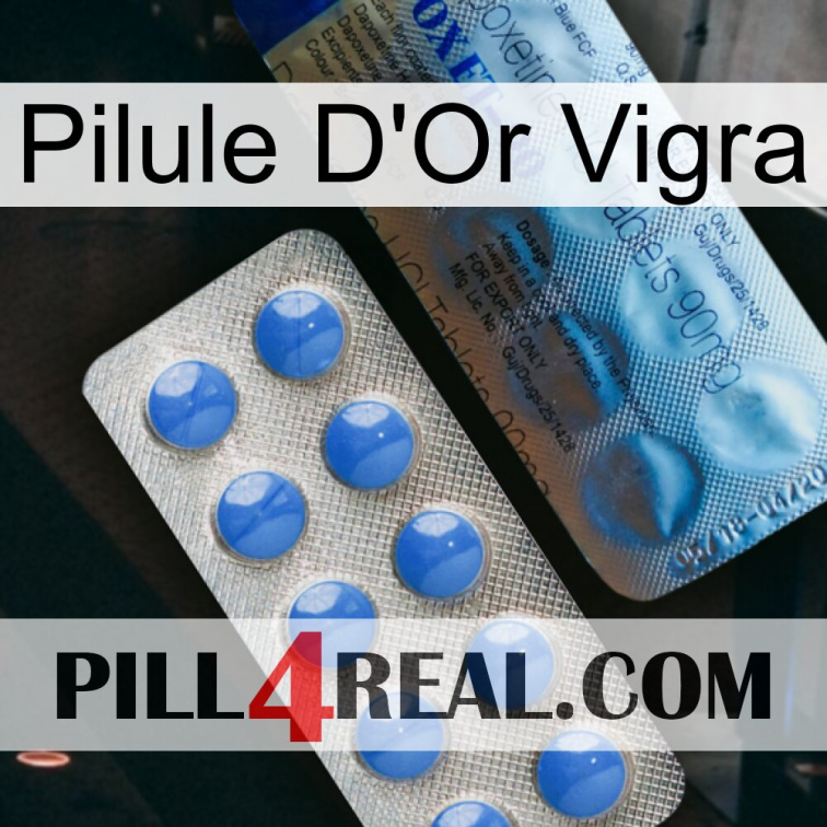 Vigra Gold Pill 40